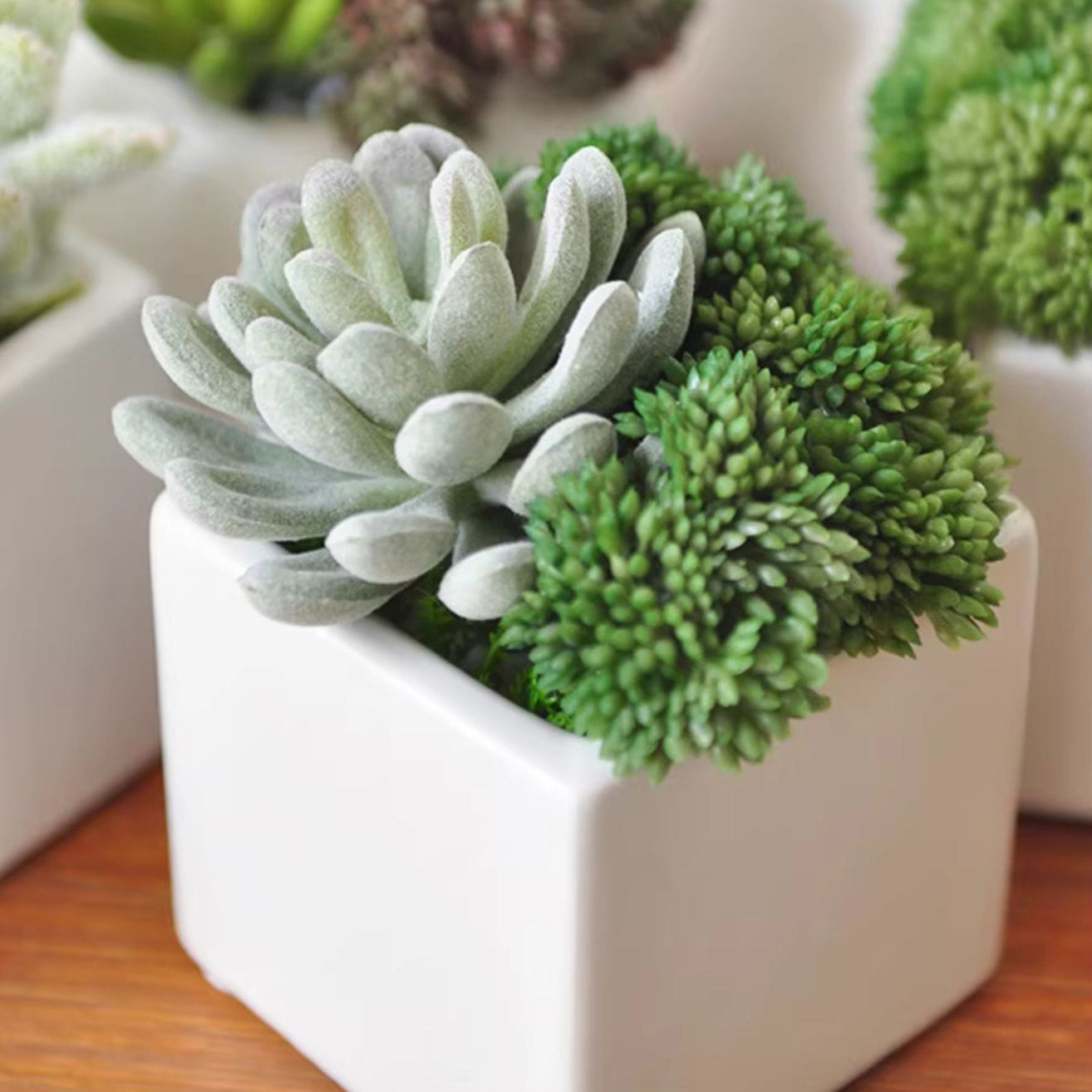 faux succulent