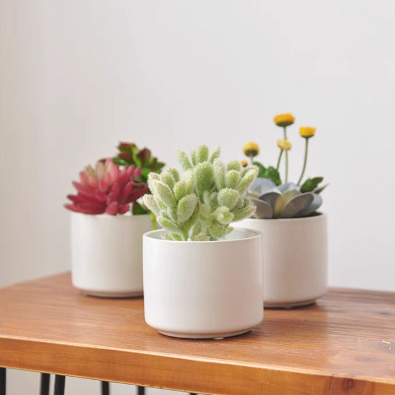 artificial succulents in pots