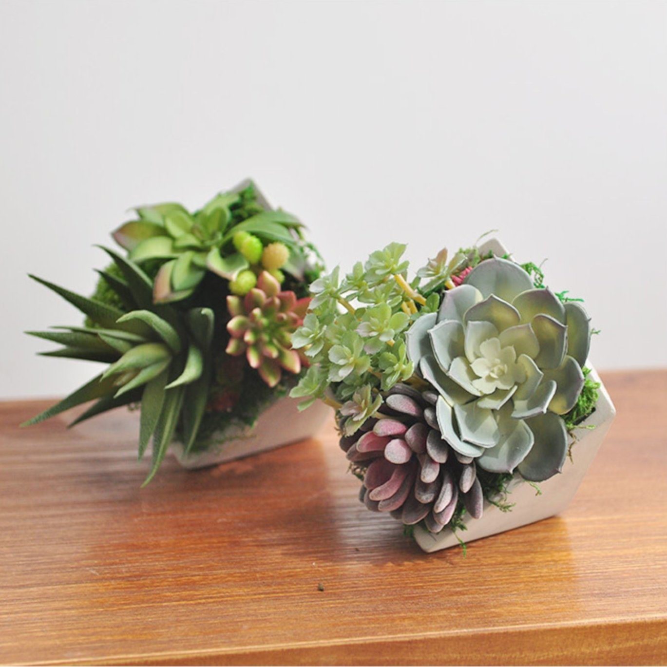 artificial succulents online