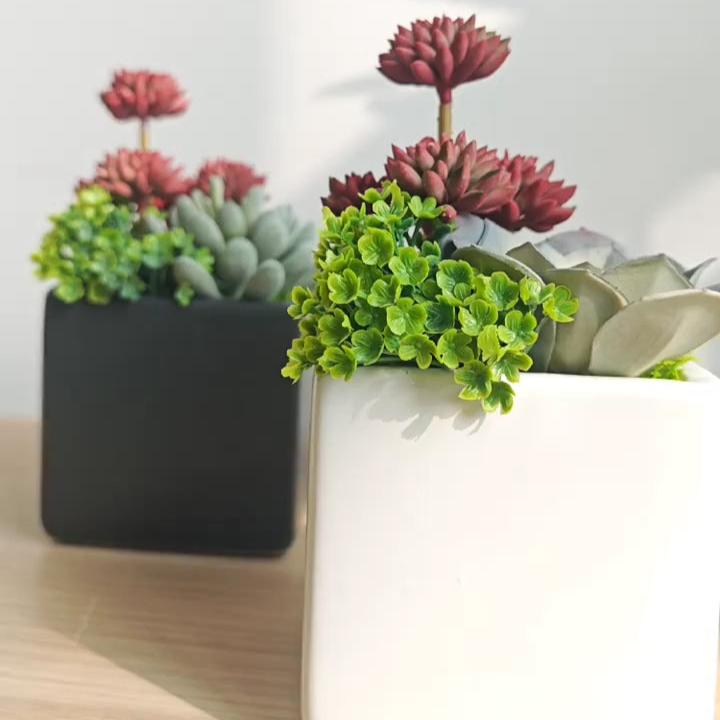 mini artificial succulents