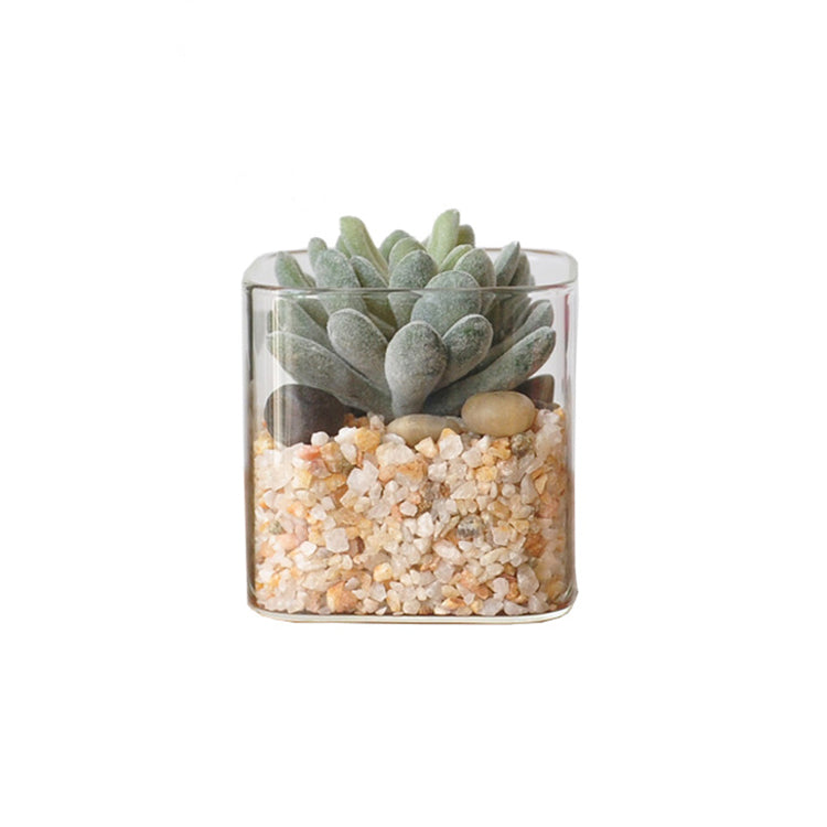 artificial succulents in glass