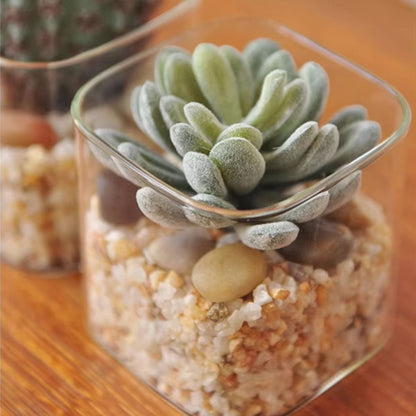 mini artificial succulents