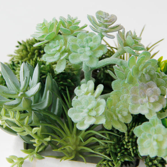 artificial succulents greenery