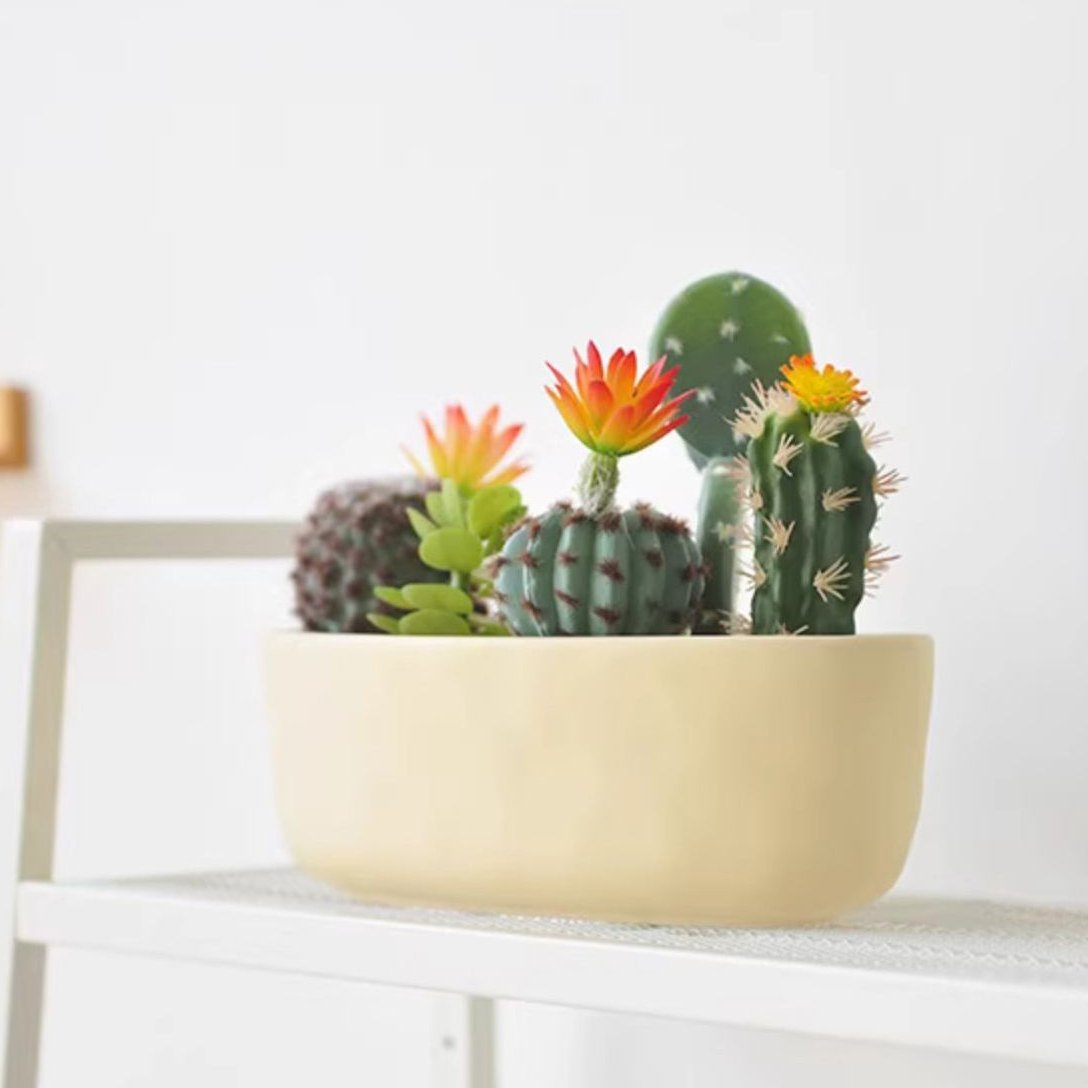 best artificial succulents