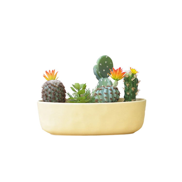 Artificial Succulents Cacti 