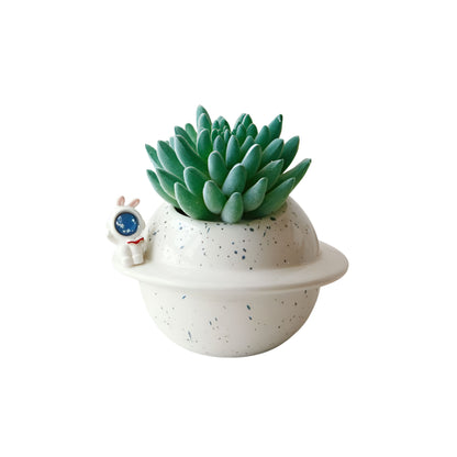 small artificial succulents