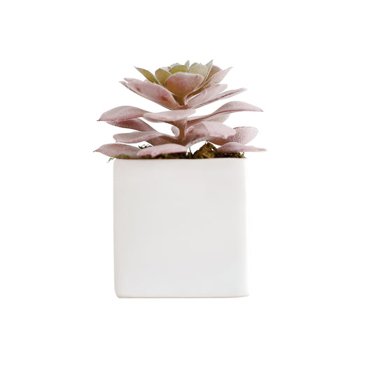 artificial succulents online