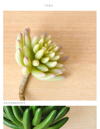 Faux Succulent  Easy DIY Decor