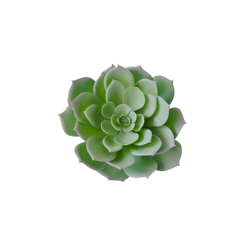 Faux Succulents Easy DIY