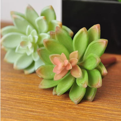 Artificial Succulent DIY  Arrangements