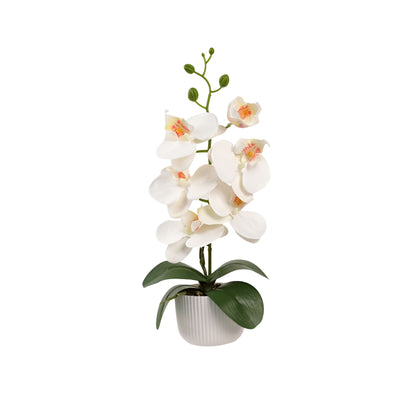 Graceful Faux Phalaenopsis Orchid Collection in Textured Pot