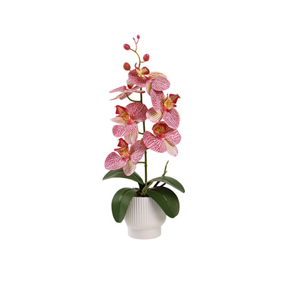 Graceful Faux Phalaenopsis Orchid Collection in Textured Pot