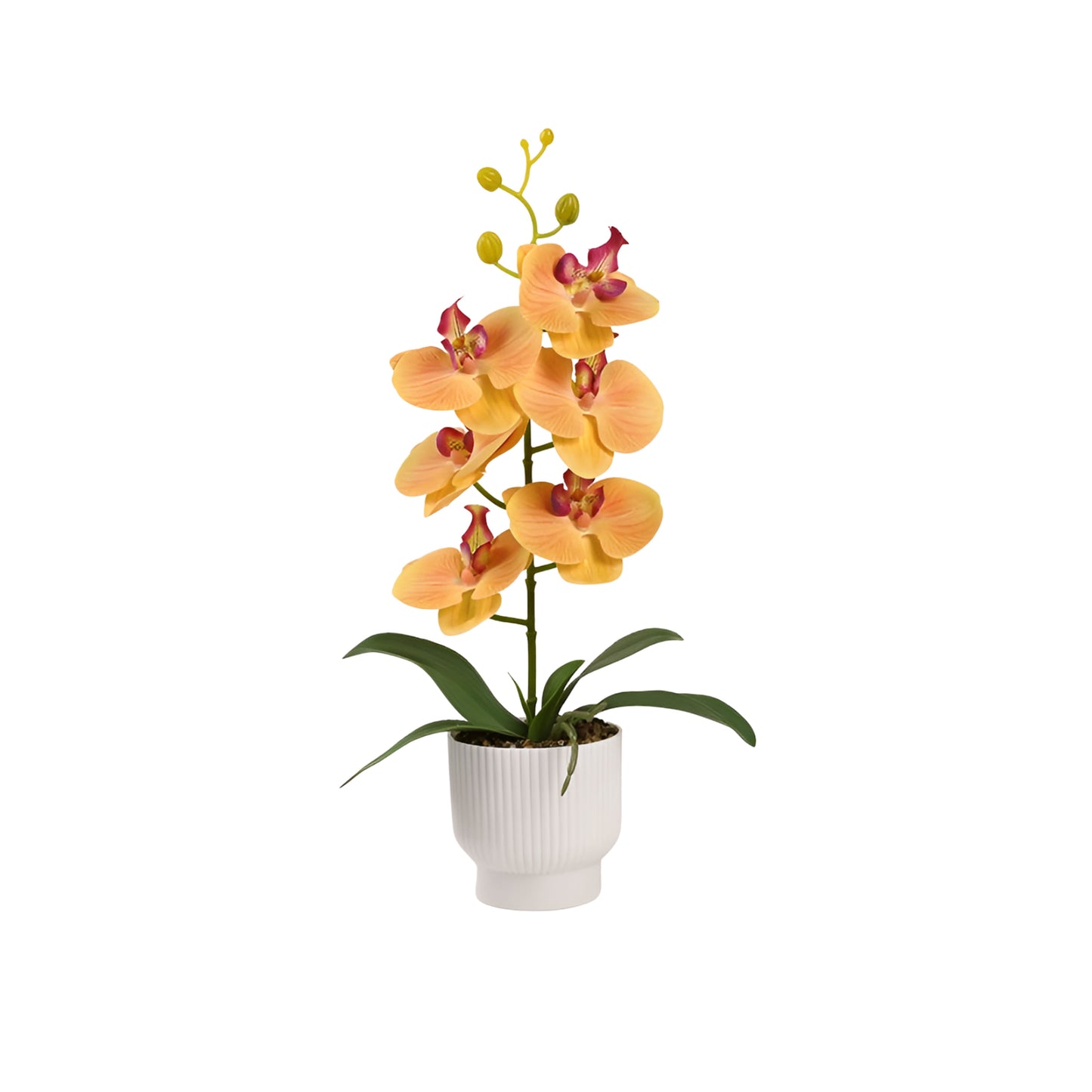 Graceful Faux Phalaenopsis Orchid Collection in Textured Pot