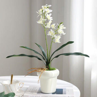 Faux Dancing-Doll Orchid Flowers