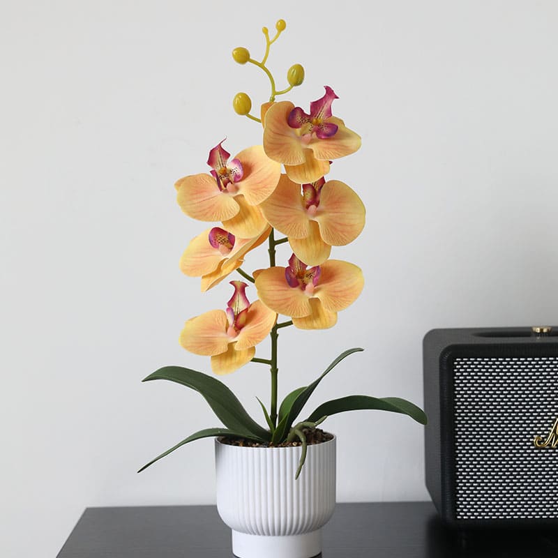 Graceful Faux Phalaenopsis Orchid Collection in Textured Pot