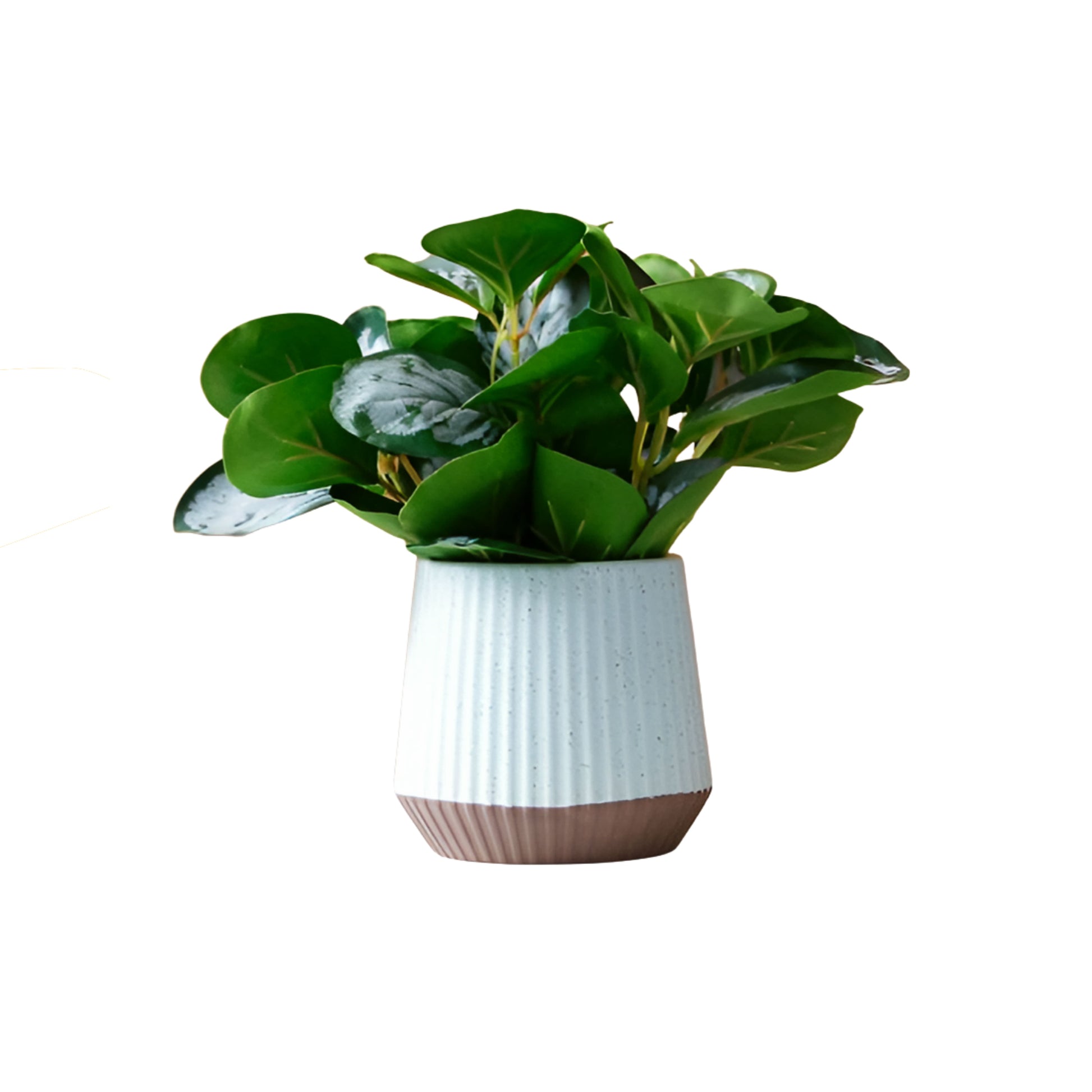 artificial plants in pot