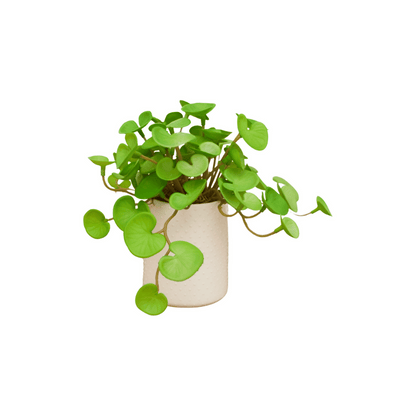 home artificial plants