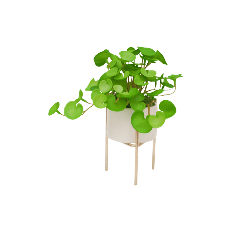 artificial plants in pots