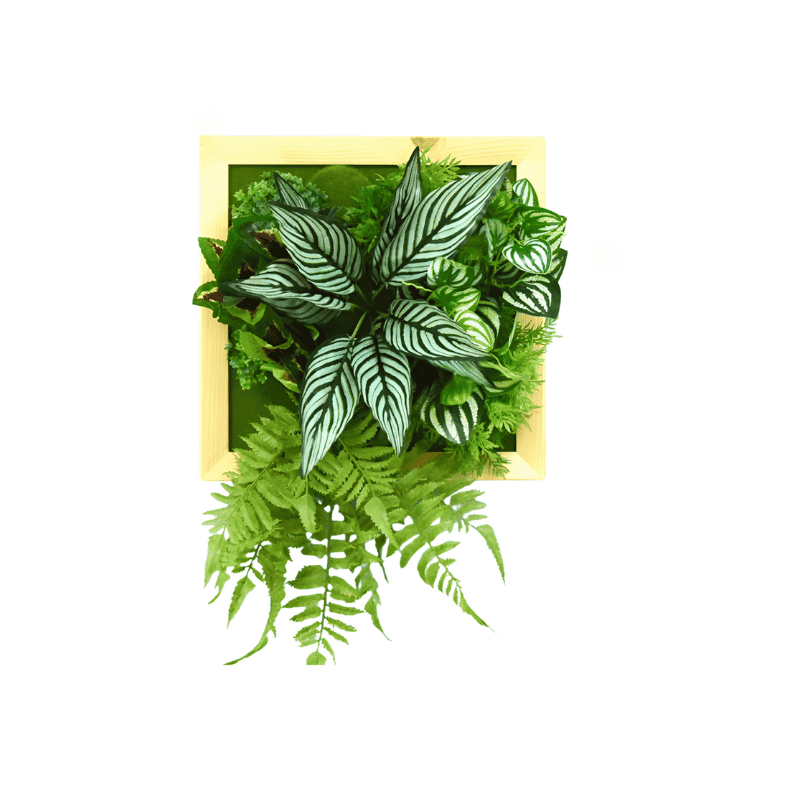 Artificial Plants Indoor Wall Hanging