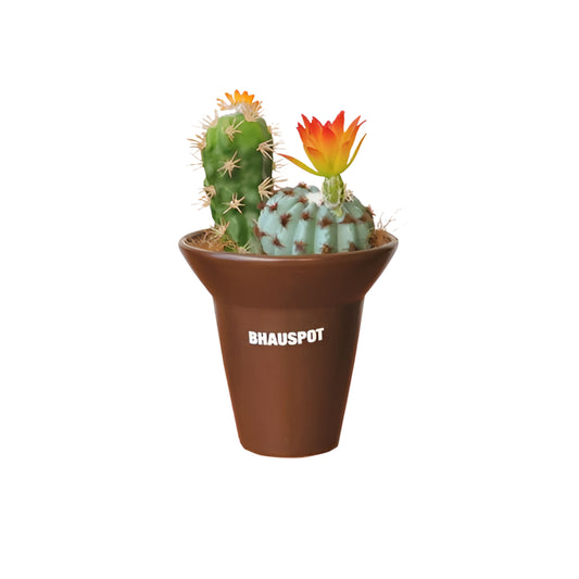 Vibrant Cute Artificial cactus