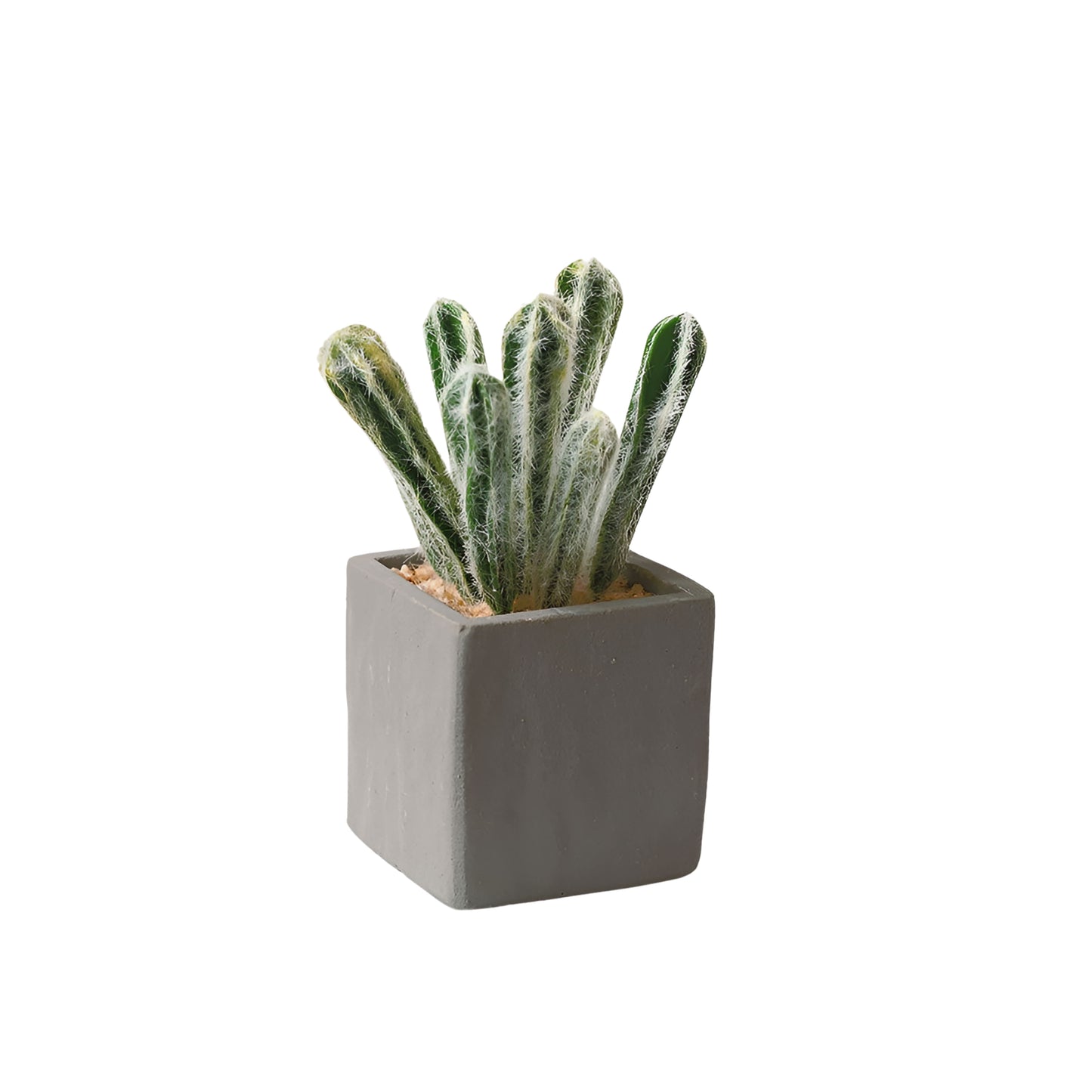 Artificial Cactus Plants in Square Pot