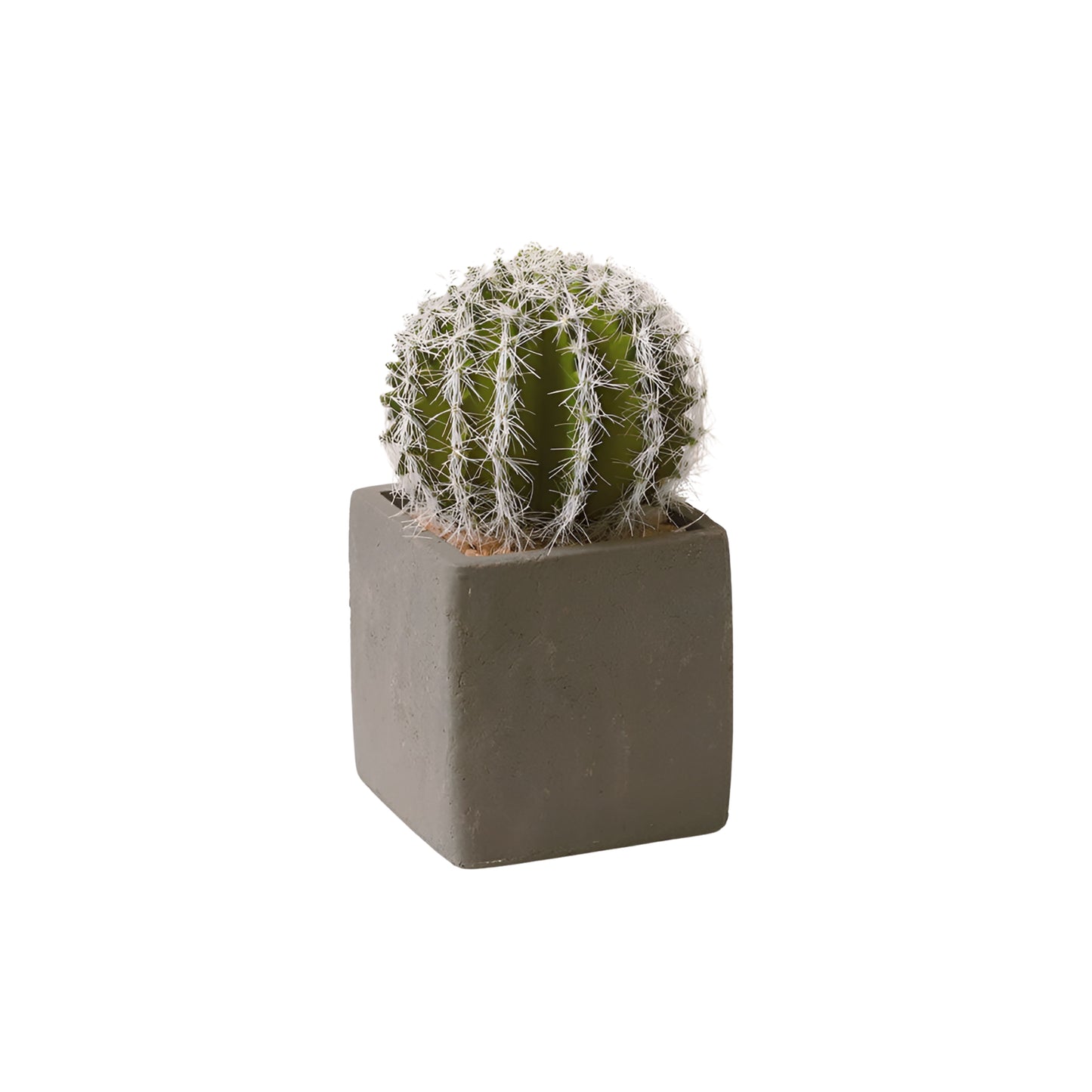 Faux Cactus Succulents