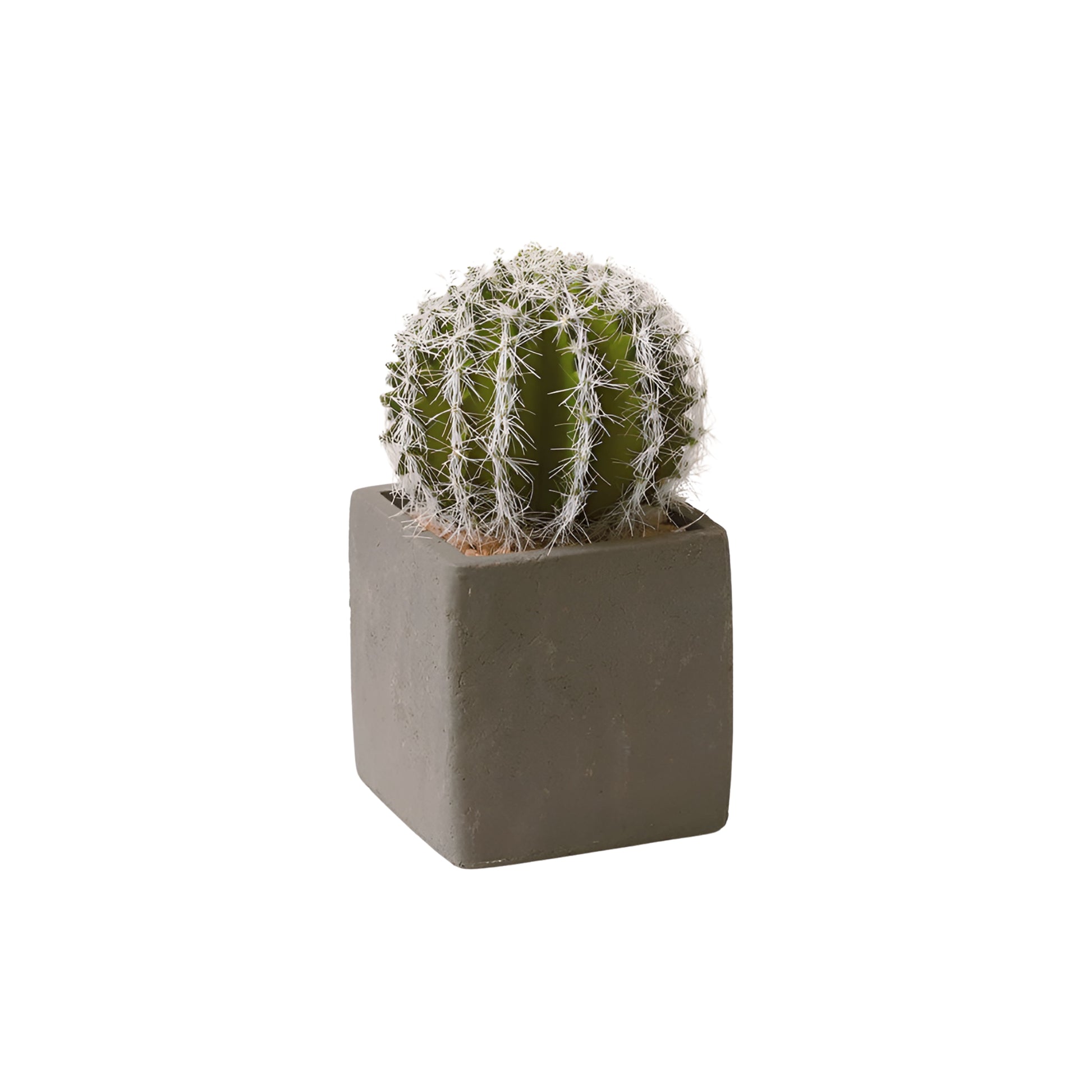 Faux Cactus Succulents