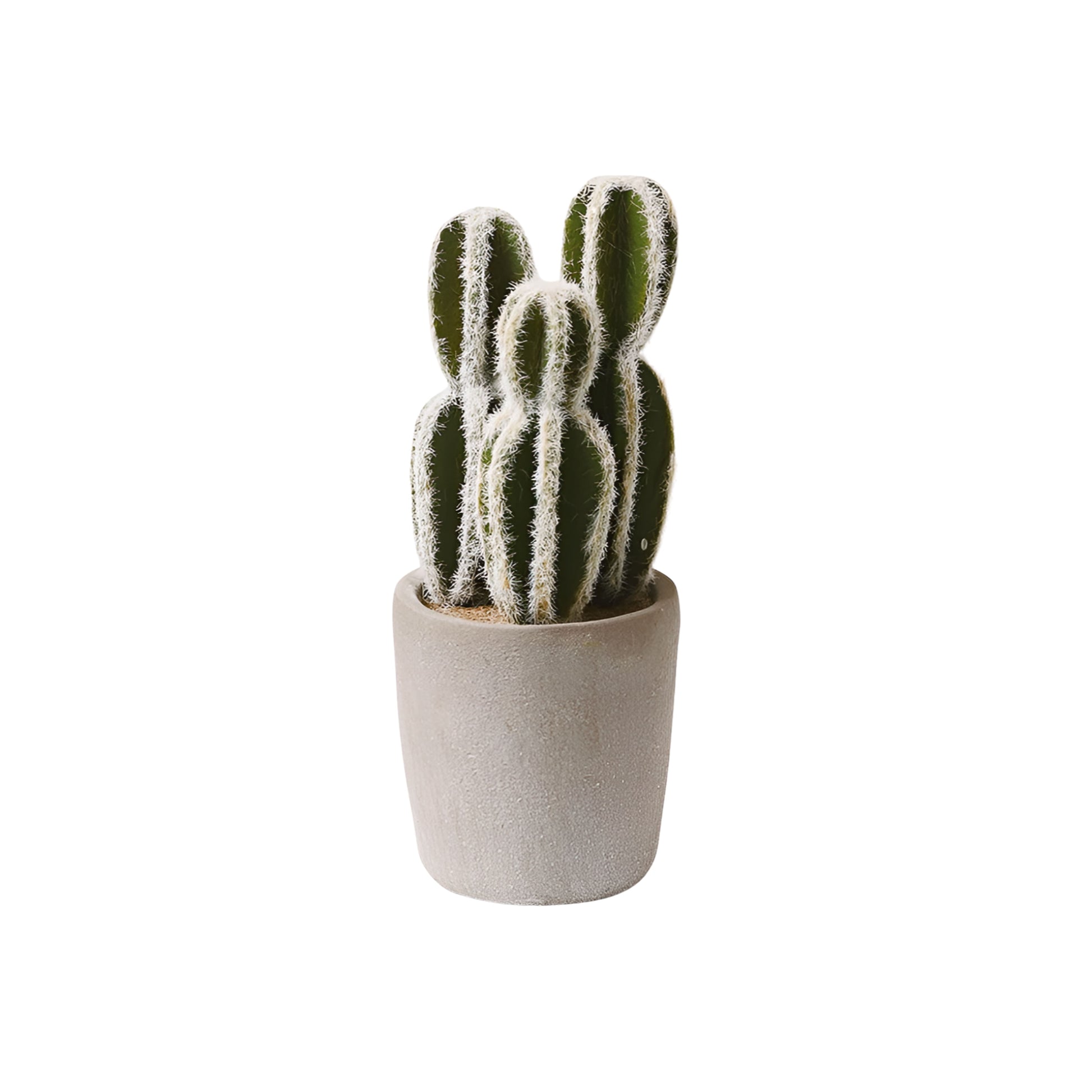 Faux Cactus in Pot