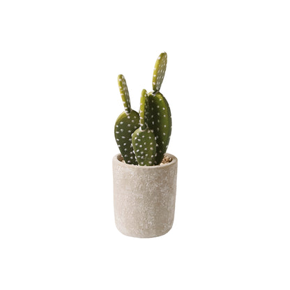 Artificial Succulents Cactus Potted